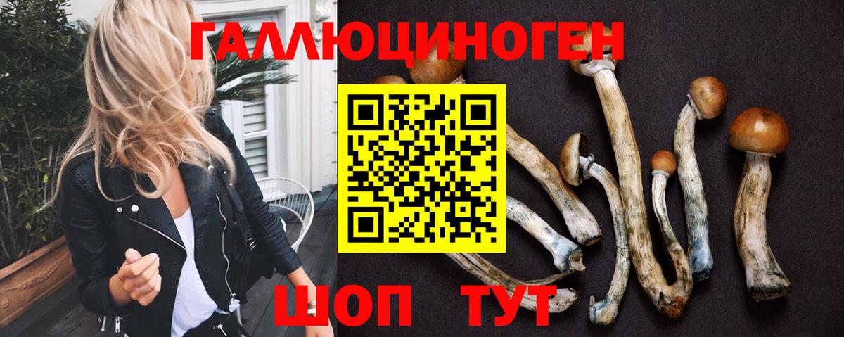 Галлюциногенные грибы мицелий  Вход с VPN  Иваново  Галлюциногенные грибы GOLDEN TEACHER 